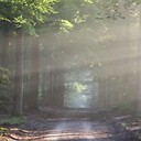 QuotesOfNature