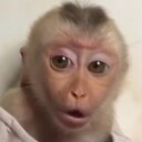 MonkeyMoney2