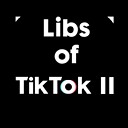 LibsOfTikTok2