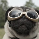 Justapug