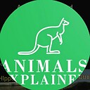 Animalsexplained