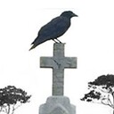 ravenhumor