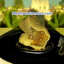 MushroomGeneticsCo