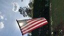 Palmettostatepatriot