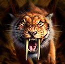 TheTexasTiger