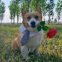 XiaomingHappy