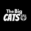 TheBigCatss