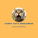 FunnyCatsWorldWide