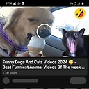 Mrfun3