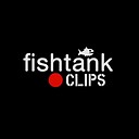 FishTankdotLive