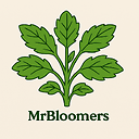 Mrbloomers