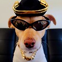 DLCstarlife