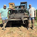 daltonherndon33