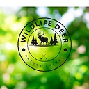 wildedeer