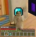 RamdomCatBacon