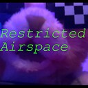 RestrictedAirspace88