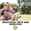 BeautifullPetsAndDogs2022