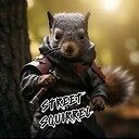 STREETSquirrel