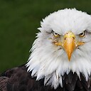 BrideAgeChristianFellowship