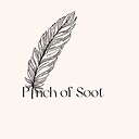 PinchofSoot