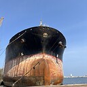 TheMadSailor