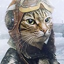 CaptainCats