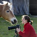 alessandrasartihorsephotos