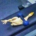 REI_DOS_FRANGOLINIS