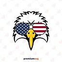 robison34
