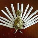 davidrabbit