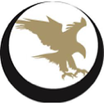 The Nighthawk Custom Archive