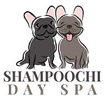 Shampoochi Day Spa Dog Grooming