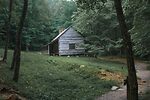 Appalachia Rising