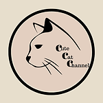 Cute Cats Channel