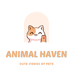 Pet Haven