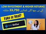Online Earning