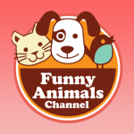 Funny Animail
