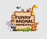 Funny Animal Moments