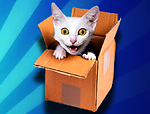 CATBOX Funny Videos