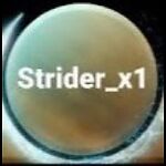 Striderx1