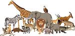 Animals lover