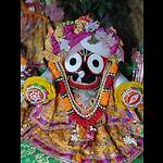 Jay jagannath