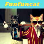 All About Funny Cat