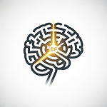 Breakthrough Fortunes