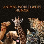 animal world with humor