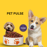 "Tales and Tails: Unveiling the Heartfelt Moments of Pets' Lives"