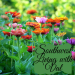 Southwest Living with Val