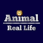 Animal real life