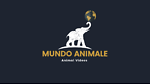 Mundo Animale