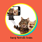 Funny Animals Finder